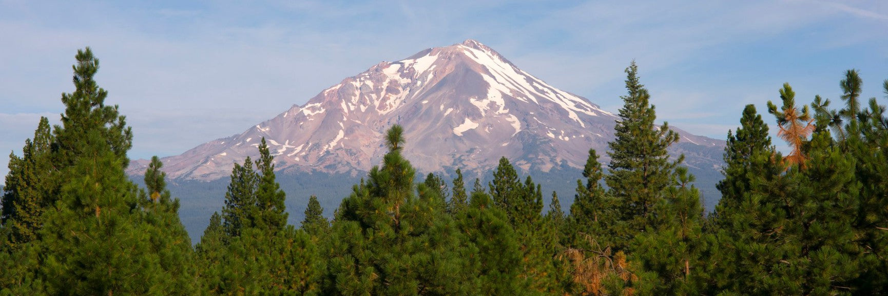 Snow-capped Cascade Pass peak above evergreen forest