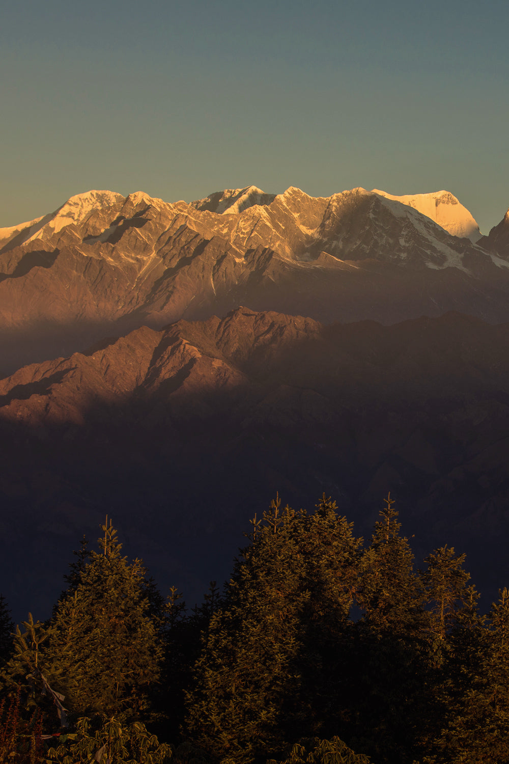 A sunlit mountain range in Nepal with snow-capped peaks. The tops of trees are visible in the foreground.