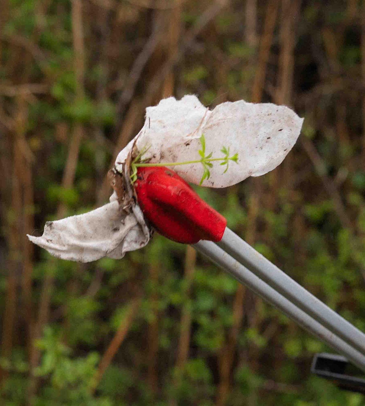 A close up of a litter picking tool with a white plastic bag against a background of trees and shrubs