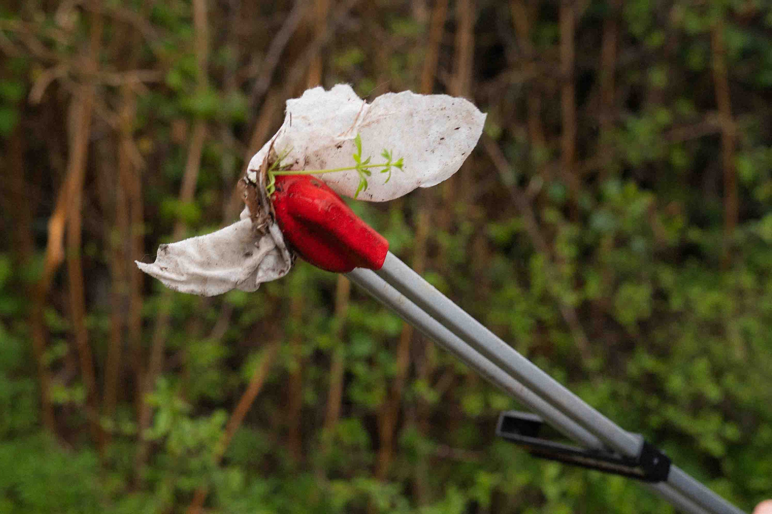 A close up of a litter picking tool with a white plastic bag against a background of trees and shrubs